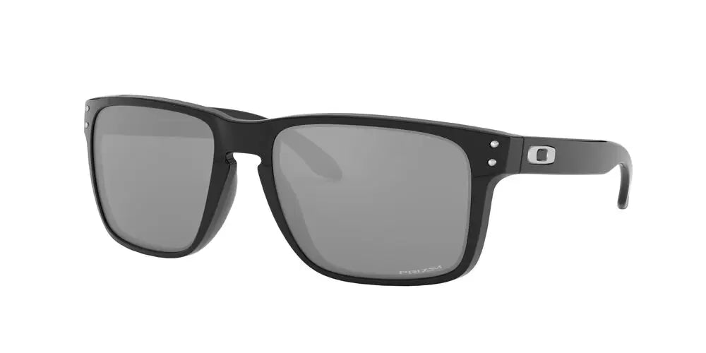 Oakley Holbrook XL