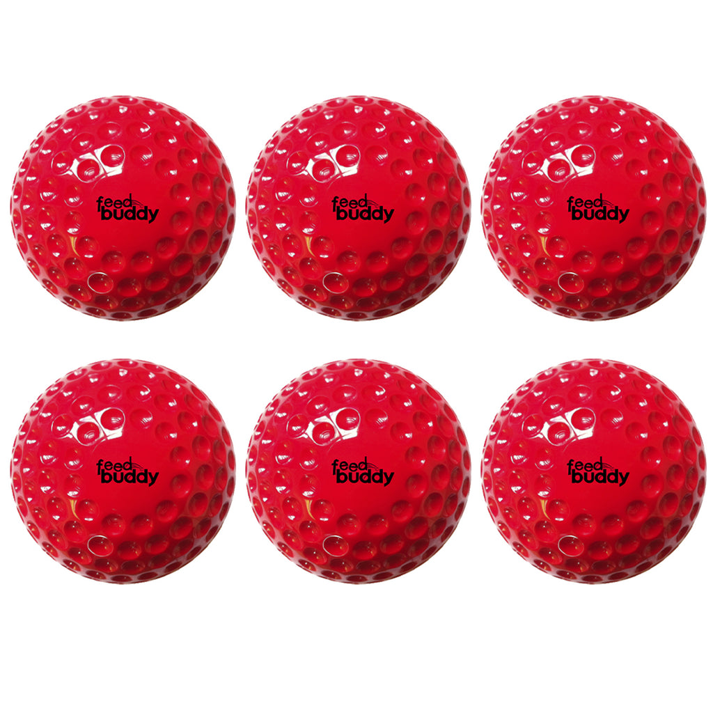 Feed Buddy Balls (6)