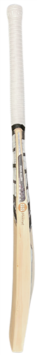 SS Finn Allen Player Plus Cricket Bat - SH
