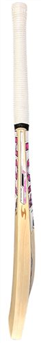 SS Tim Seifert Player Plus Cricket Bat - SH