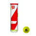 Wilson Team Tennis Ball Carton