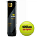 Wilson US Open Tennis Balls